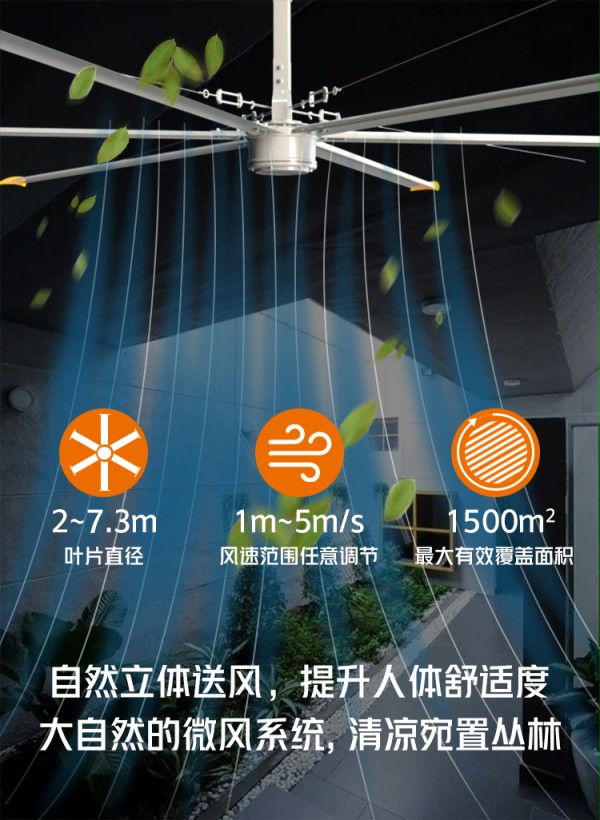 大风扇