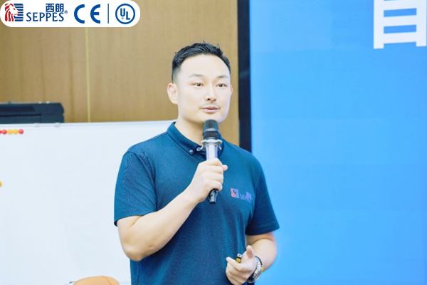 西朗门业董事长杨元嘉做跨境电商品牌出海主题分享